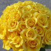 hebamathew72